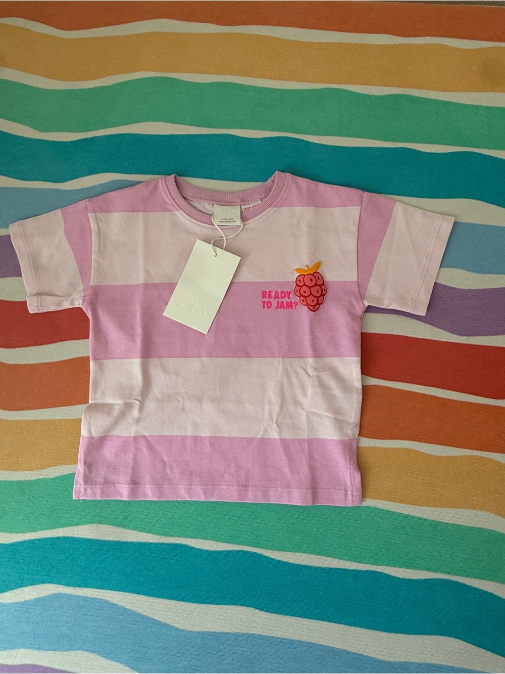 Zara Pink and Light Pink Striped 'Ready to Jam?' Tee